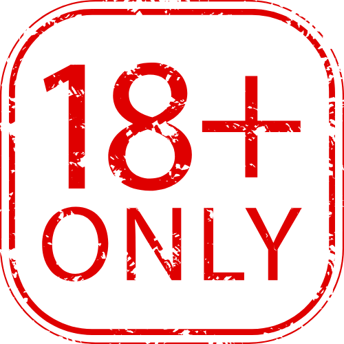 Seoprofi24